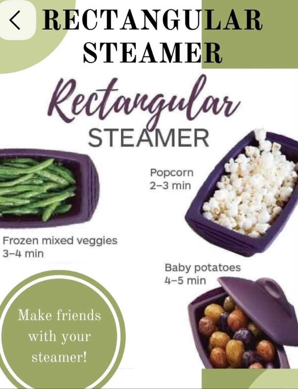 Epicure Rectangular Steamer
